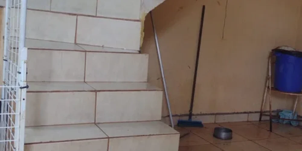 0d9af6a01adae2f52b736eae2b46e79b