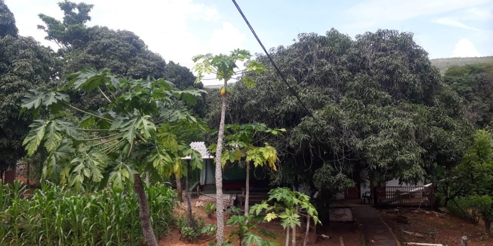 18bade81-f766-404b-9555-3c90d8883272