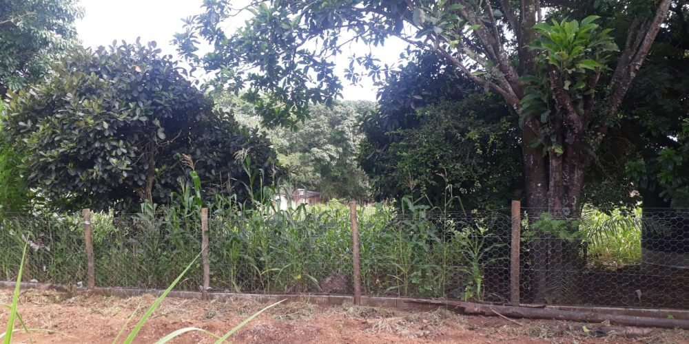 1c21bb43-f63b-4cf6-8c72-eb85ebbe5095