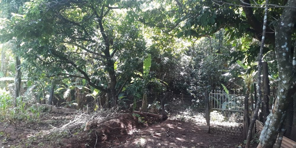 1c37a4f1-4d0b-419a-866f-84c8f4d785e4