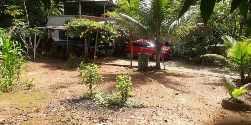 21c41b6b-74e6-45fa-8bc0-9e68702b2dec