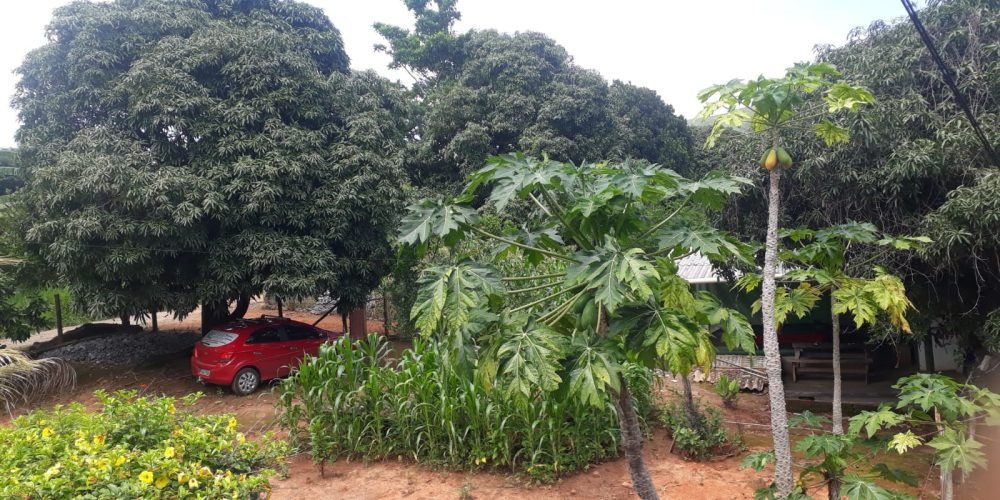 4e7846e2-d7d1-4283-a158-7b8469e07f49