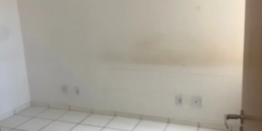 5436dd53ed682444486d42cb5dcf205c