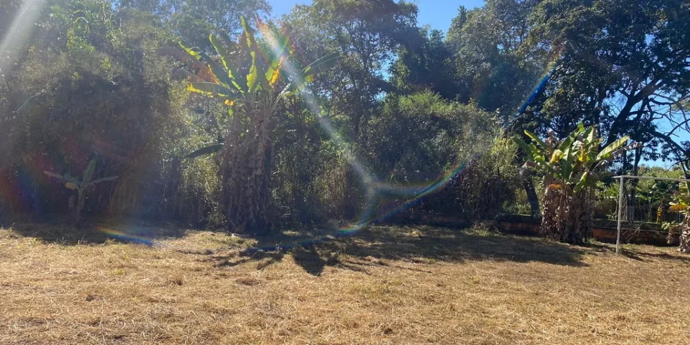 582425eb8a6fe6838a0c8c1898132ca0