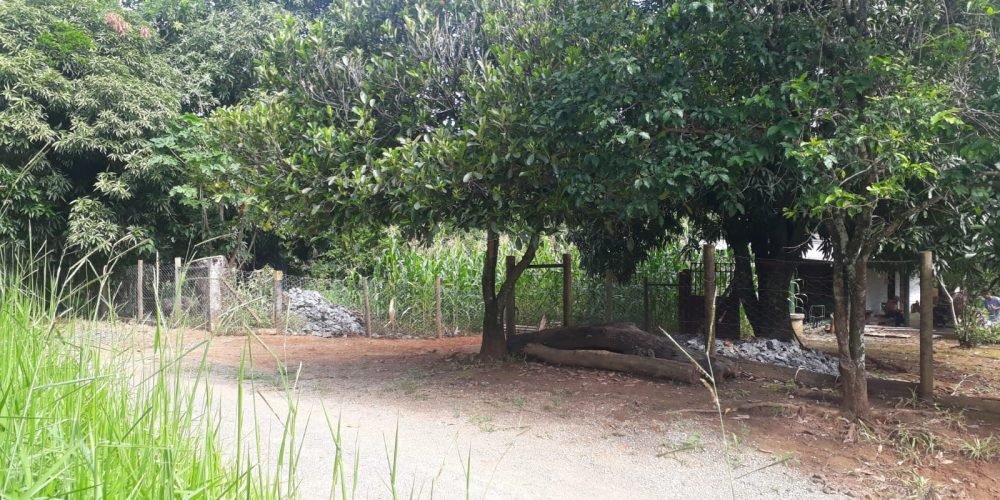 59a632b7-2361-4772-b79f-303fa4b2b625