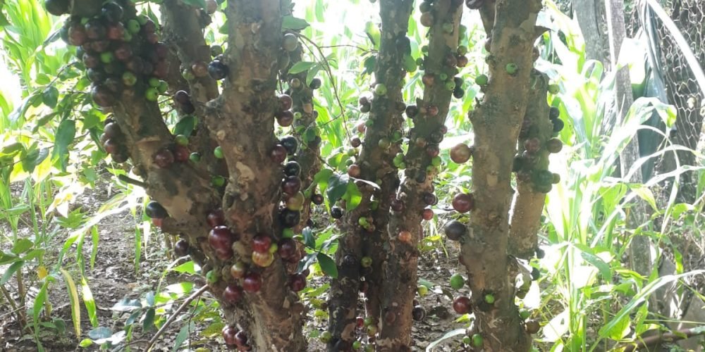 5d34e586-717e-489d-aa0f-a2149ce950c6