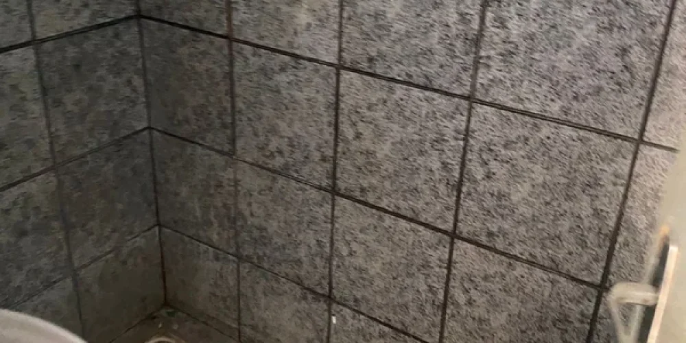 67482b3c65b3f31cf48c4d6d4329e288