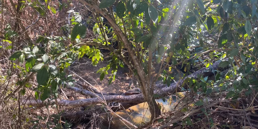 778b453c9e732d9a022619409aef2c93