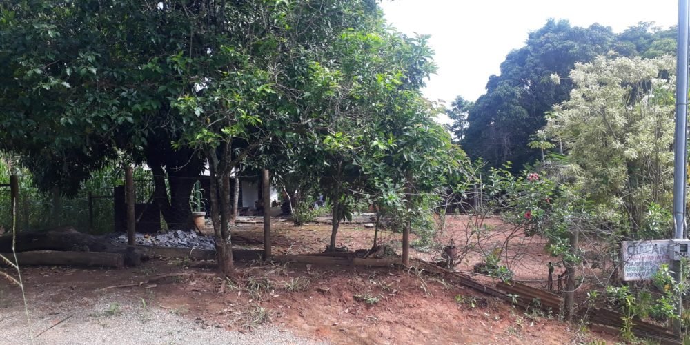 96b96fb6-c387-49b6-9108-aa44f5227461