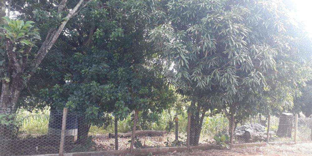 a41c1c17-b0df-43d2-933d-efe5778adc7e