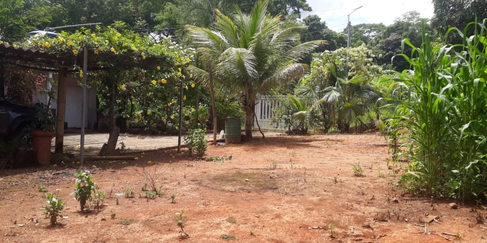 c665076d-fef9-426d-9150-0a67f0e8dd5a