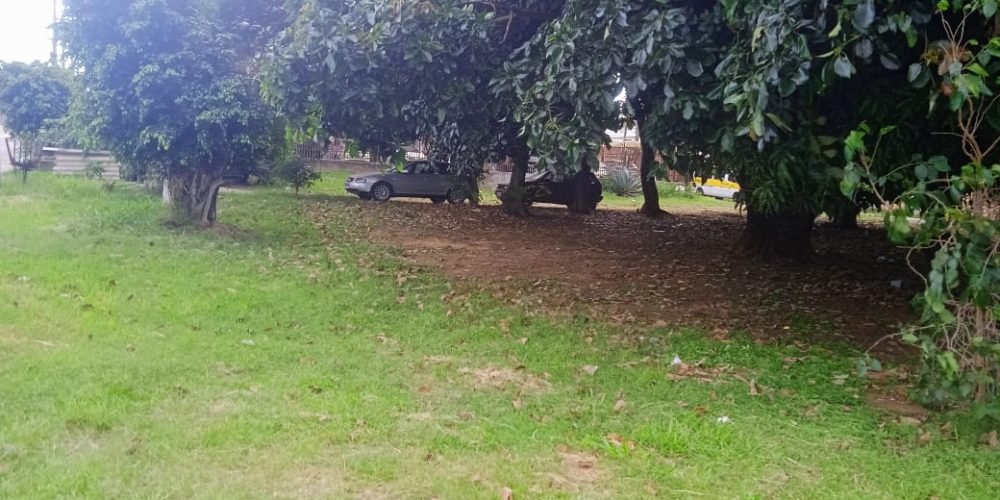 d2125dab-f545-4531-af9e-da6065f4a1e1