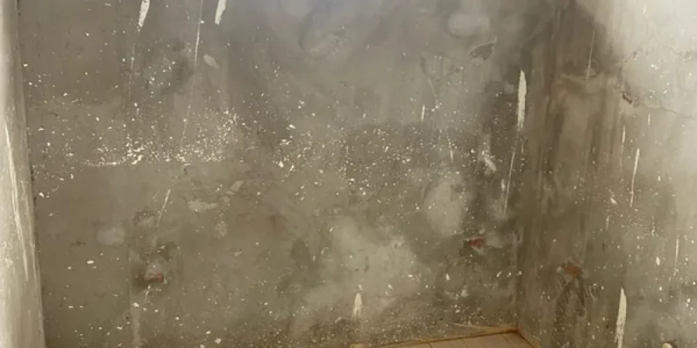 d29d9a7ebd661638f2bcad552aa88705