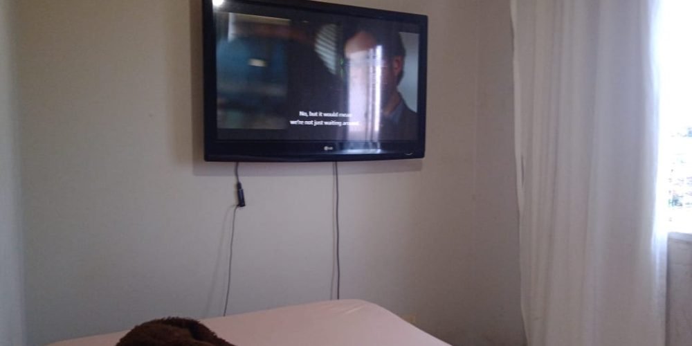 e3017195-c520-462d-92a5-804e35aaa40d