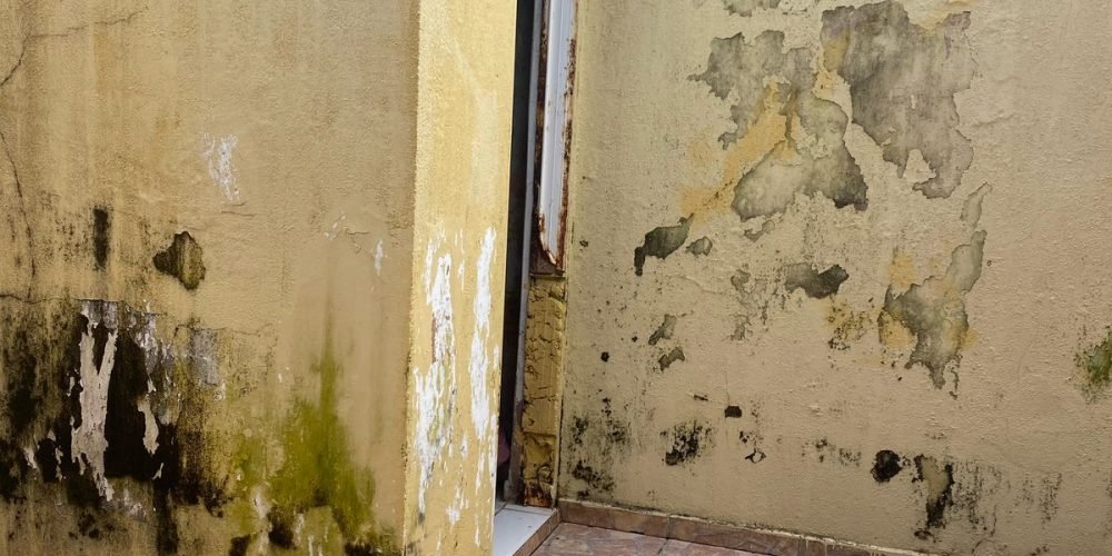 e7ef7e68-543b-4766-b709-2ee04eba815a