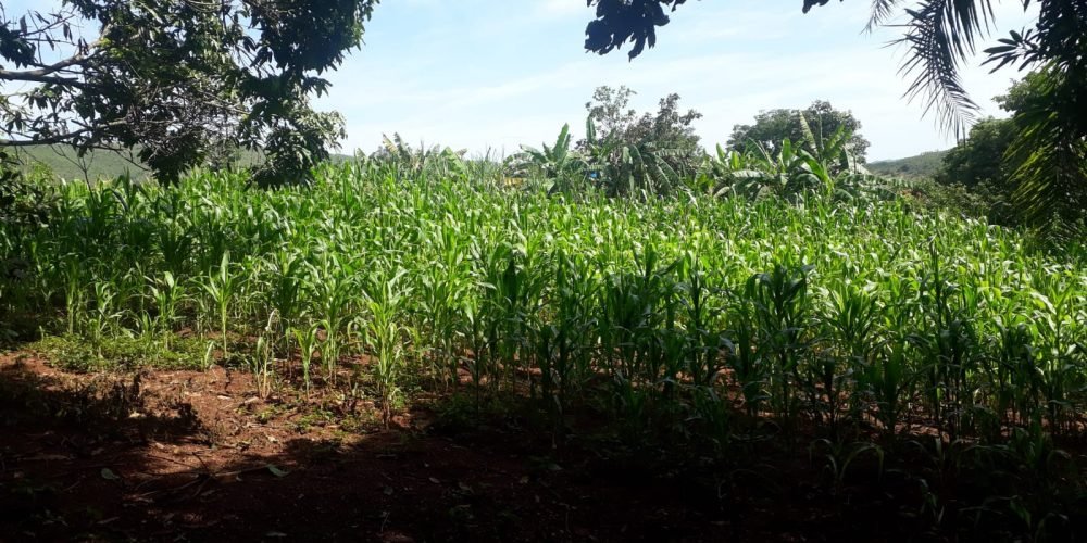 f51549fe-4b64-49c1-9f1f-11abd9f903c8